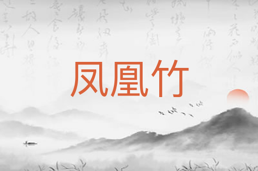 凤凰竹