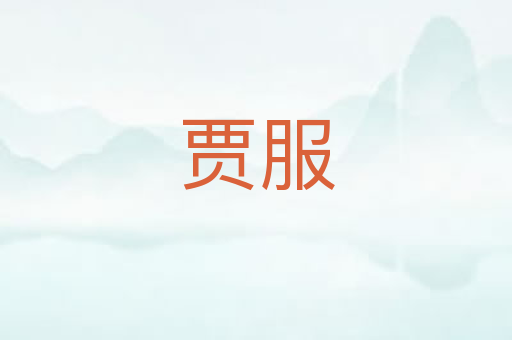 贾服