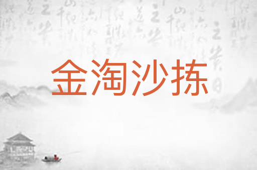 金淘沙拣