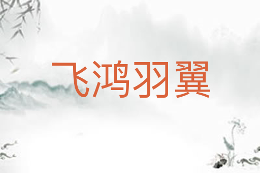 飞鸿羽翼
