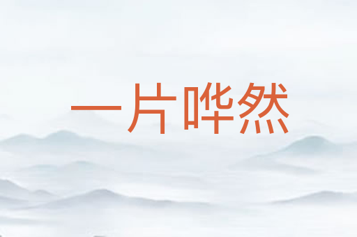 一片哗然