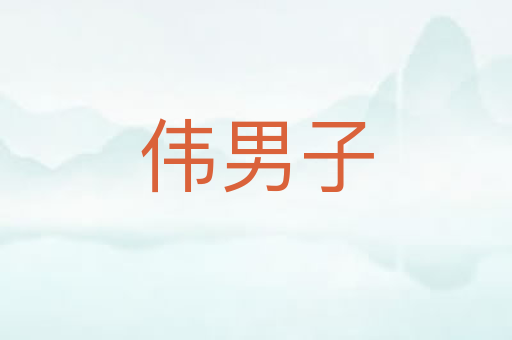 伟男子