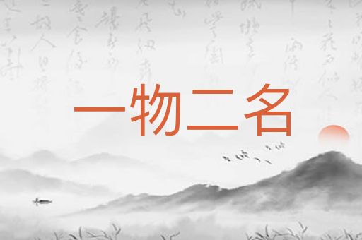 一物二名