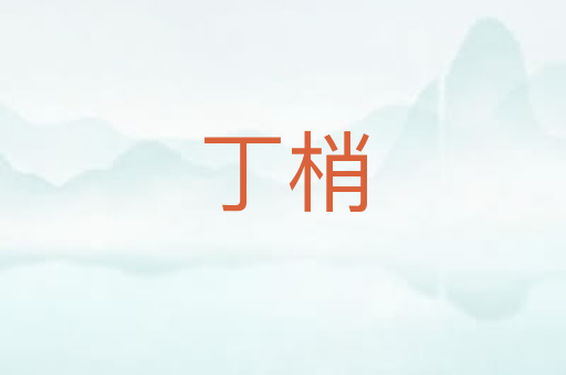 丁梢