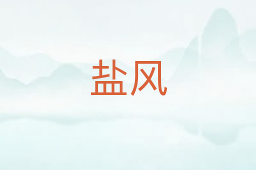 盐风