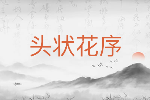 头状花序