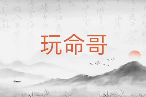 玩命哥
