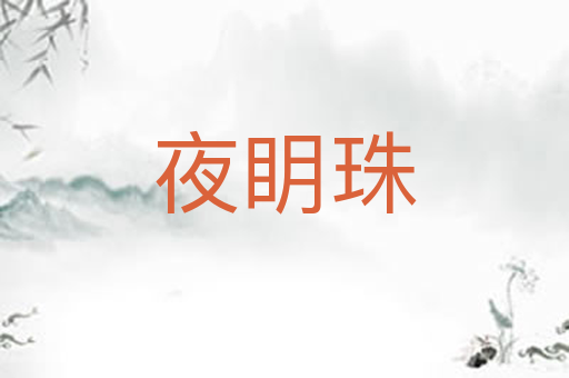 夜眀珠