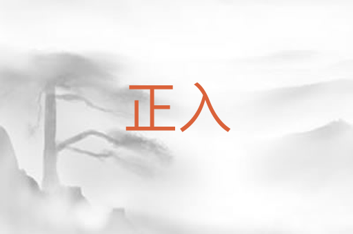 正入