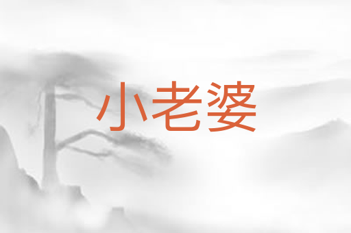 小老婆