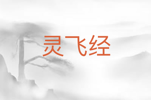 灵飞经