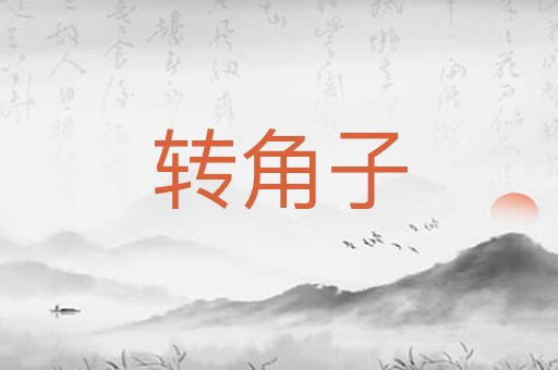 转角子