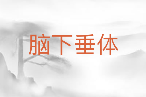 脑下垂体