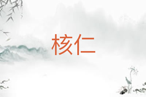 核仁