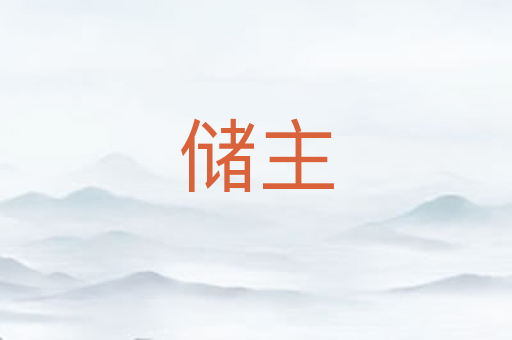 储主