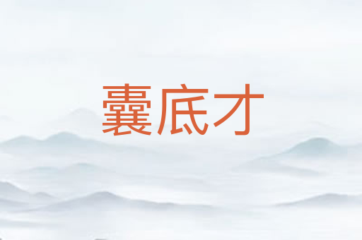 囊底才