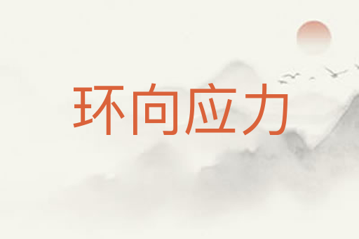 环向应力