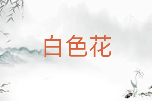白色花