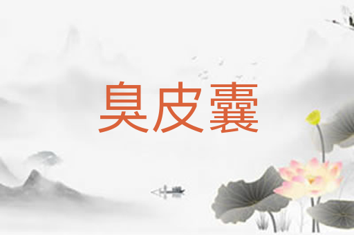 臭皮囊