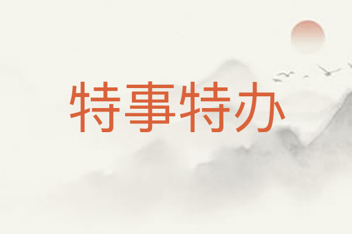 特事特办