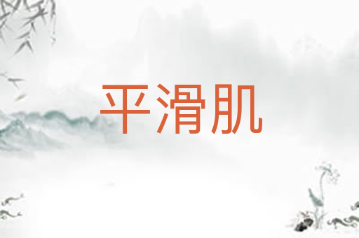 平滑肌