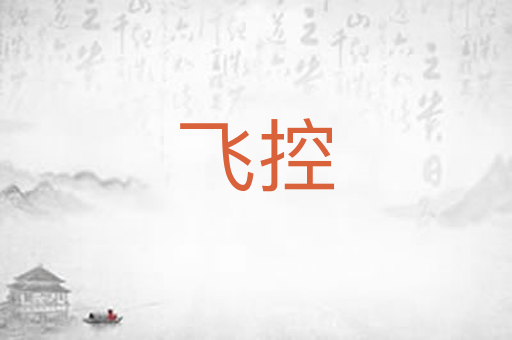 飞控