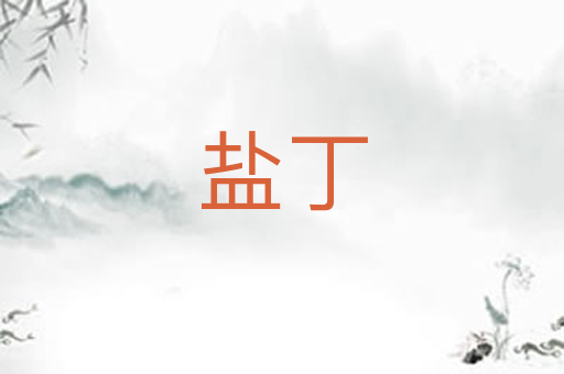 盐丁
