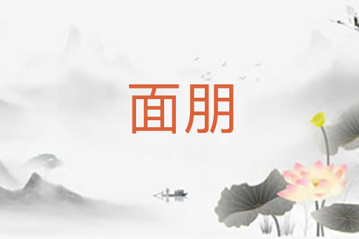 面朋