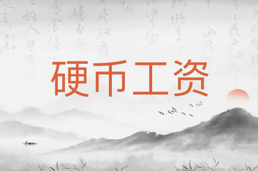 硬币工资