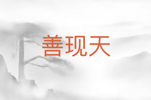 善现天