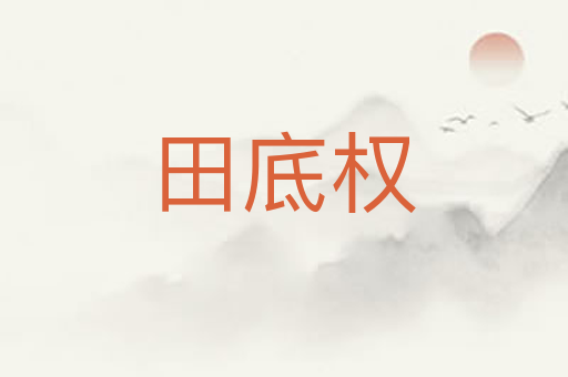 田底权