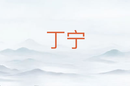 丁宁