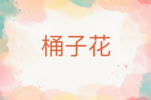 桶子花