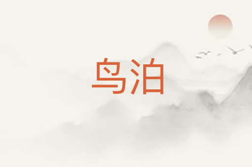 鸟泊