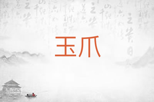 玉爪