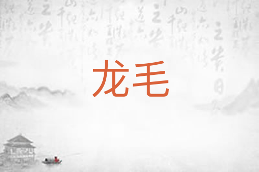 龙毛