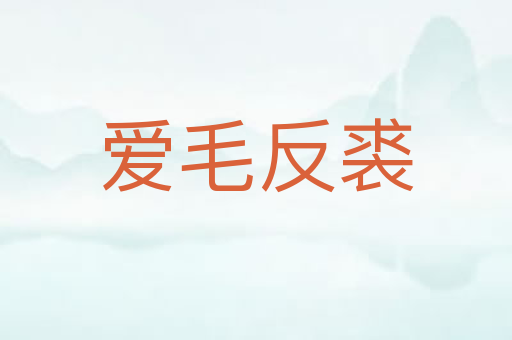 爱毛反裘