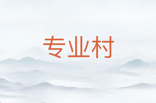 专业村