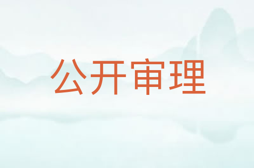 公开审理