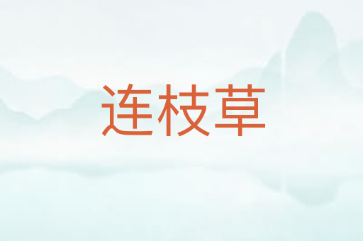 连枝草