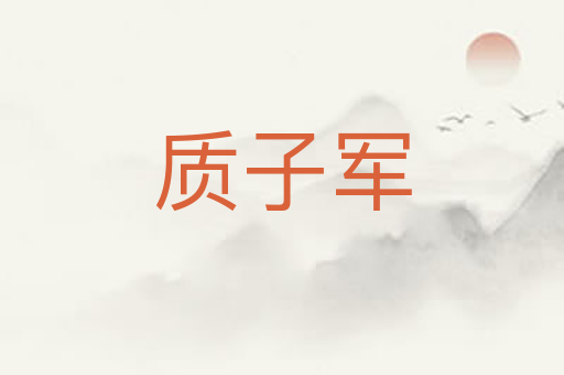 质子军