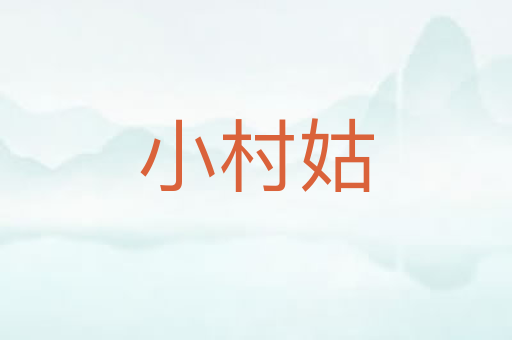 小村姑