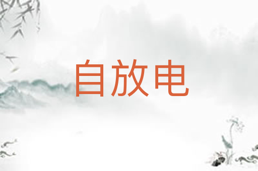 自放电
