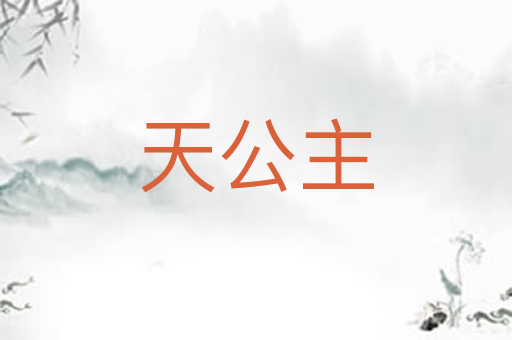天公主