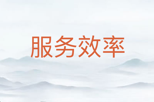 服务效率