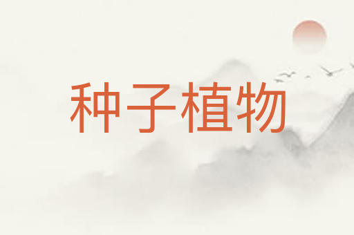 种子植物