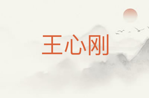 王心刚