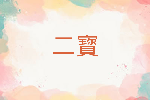 二寳