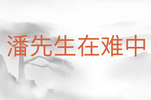 潘先生在难中