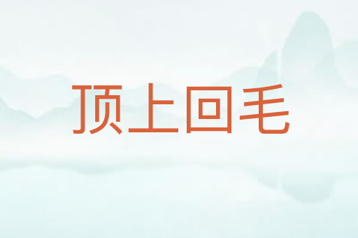 顶上回毛